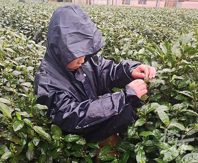 nei  38a48814fd688210f_副本.jpg