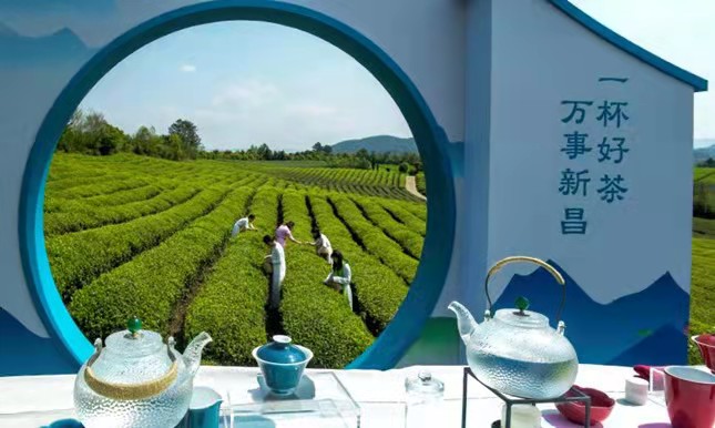 6320ee440953902d6c296f6a61914fe.jpg 6320ee440953902d6c296f6a61914fe.jpg