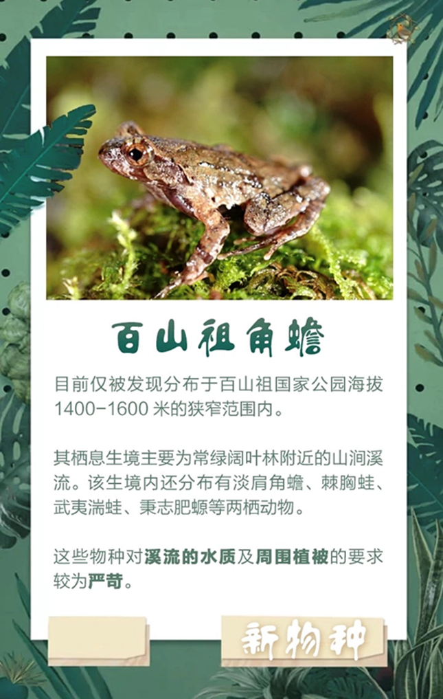 nei 41301_副本.png nei 41301_副本.png