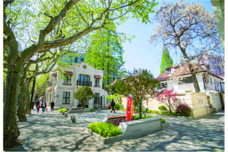 资源 1@800x-20.jpg