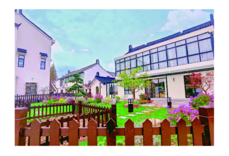 资源 2@800x-20.jpg