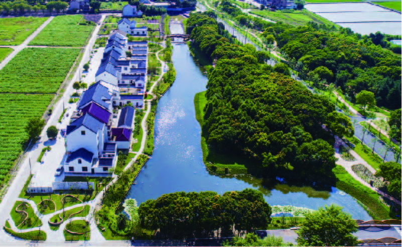 资源 21@800x-20.jpg