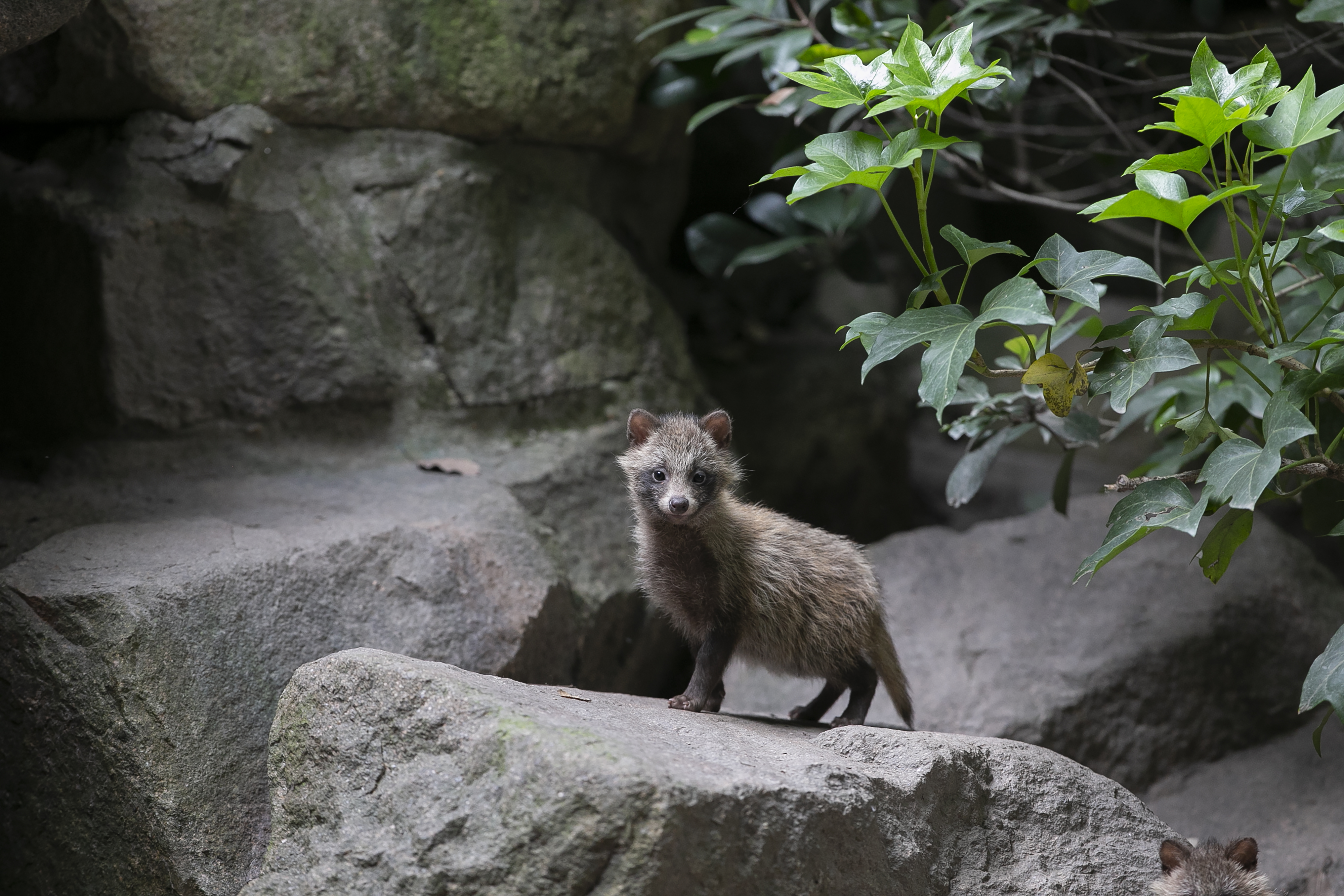 WechatIMG1924.jpeg WechatIMG1924.jpeg