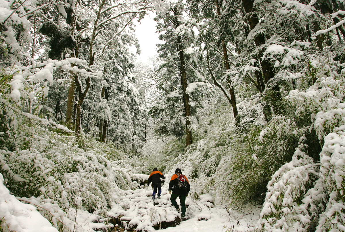 WechatIMG1915.jpeg WechatIMG1915.jpeg