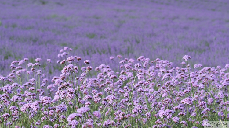 big (2).jpg big (2).jpg