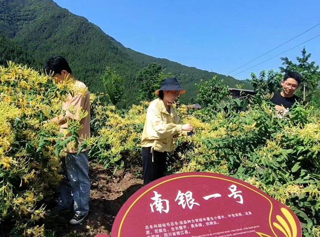 nei 7f600866fbf3_副本.jpg