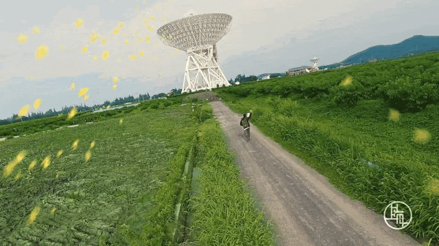 9.gif
