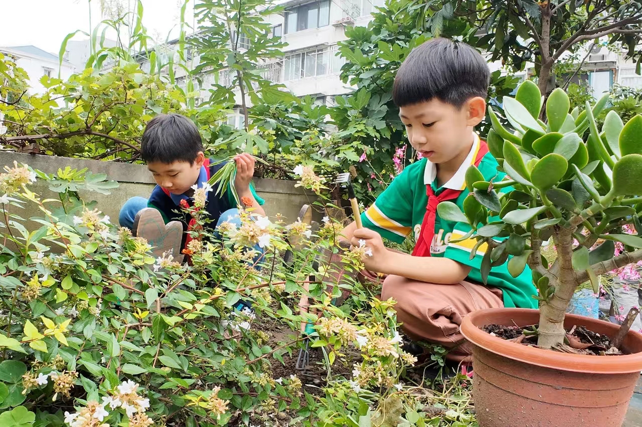 微信图片_20230917182611.jpg